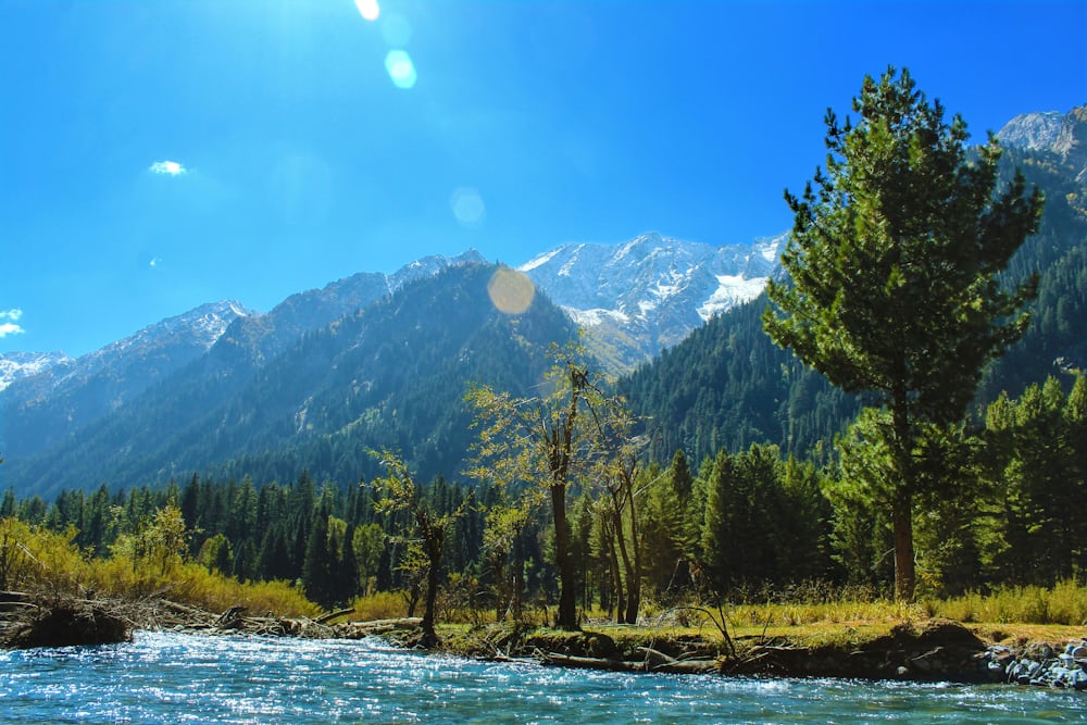 Fairy Meadows